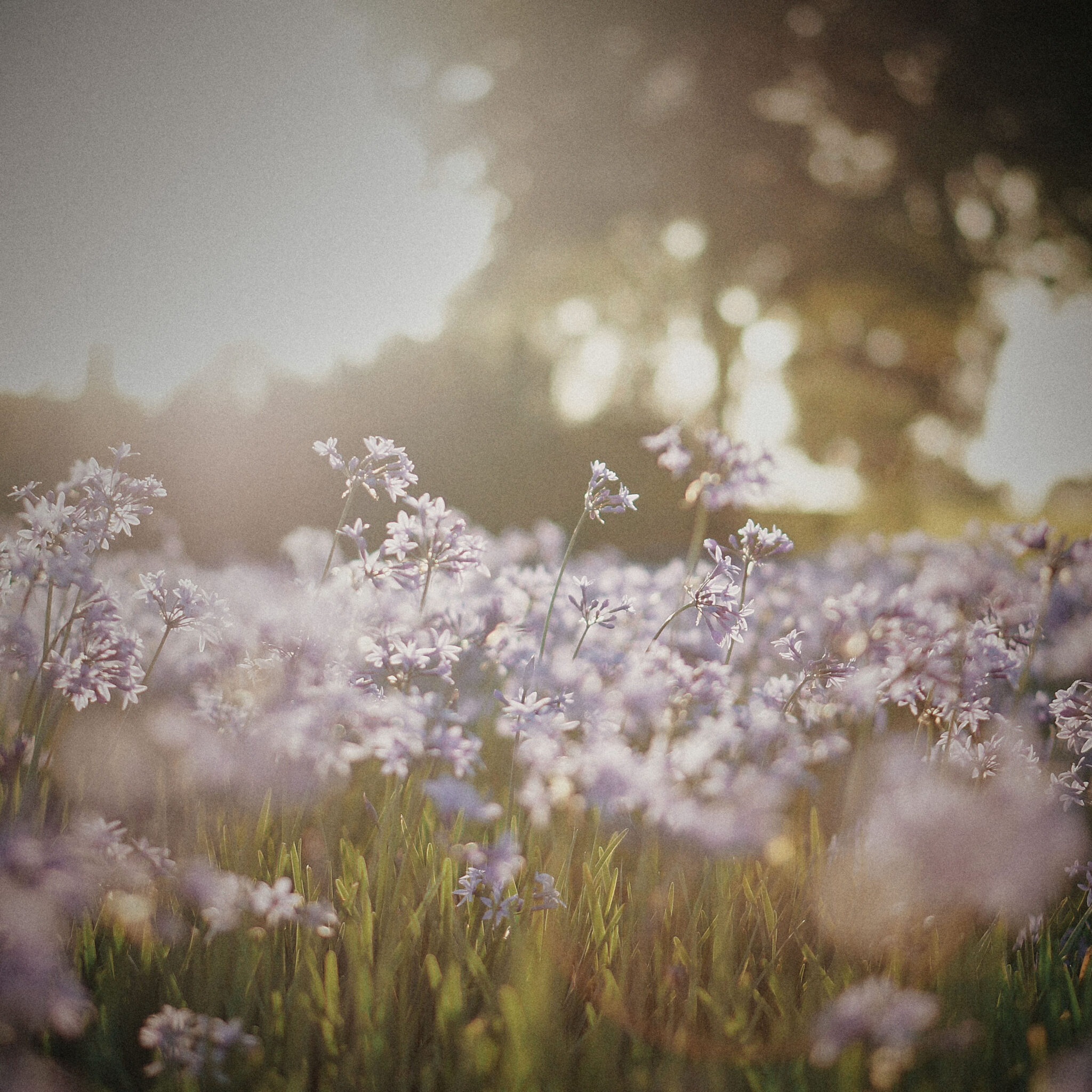 Palautumisvalmennus auttaa väsymykseen, stressiin ja ylivireyteen.