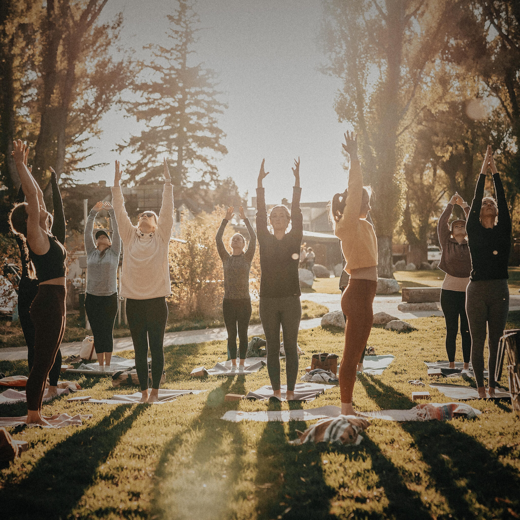 Latin Flow & Flow Yoga kesäkeskiviikkoisin kokemäellä