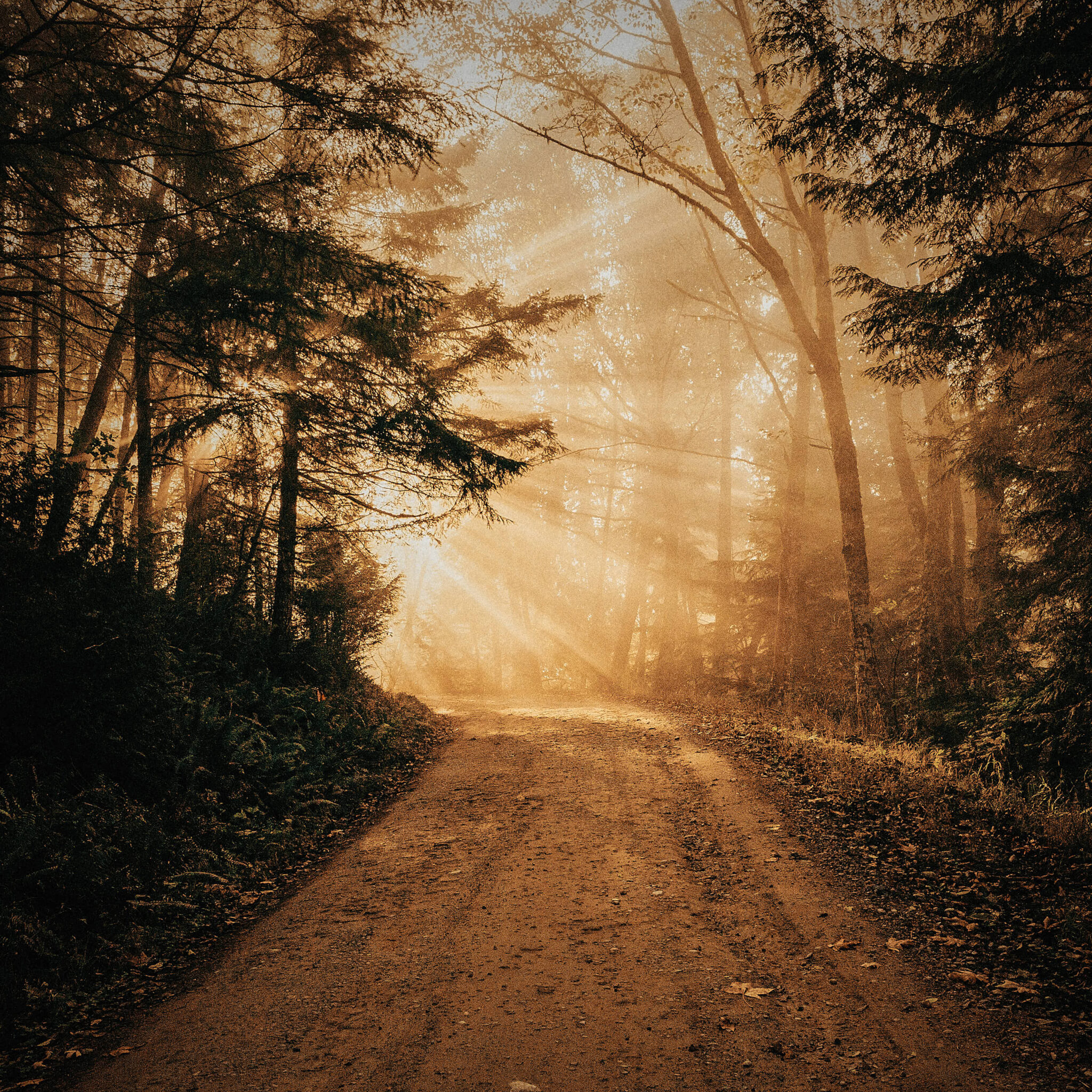 Valonkannon uravalmennus on sinulle, joka kaipaat selkeyttä suuntaan.